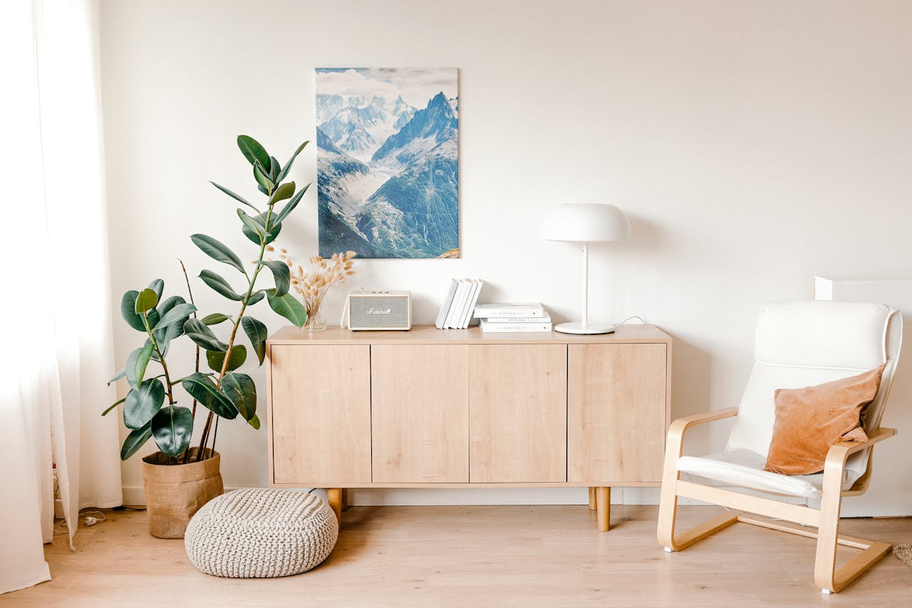 Scandinavian Design Living Room